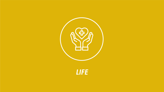 Life Insurance